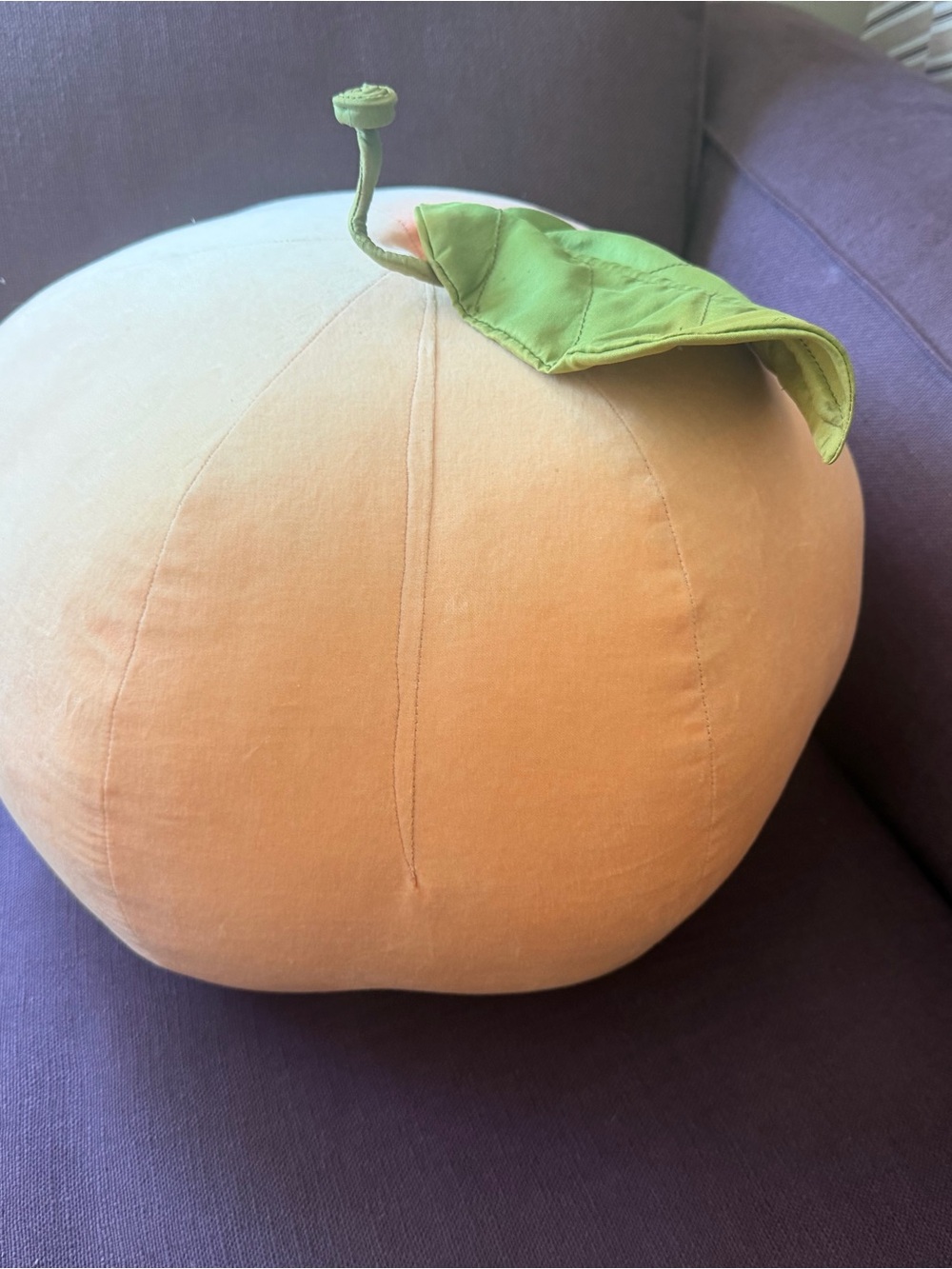 Oi Plush Peach Decorative Pillow with Leaf Accent